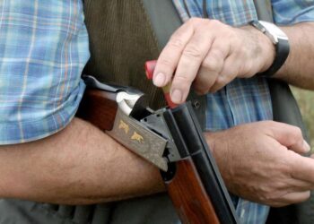 Chasse au sanglier : beaucoup d’accidents et le premier décès de la saison ce dimanche