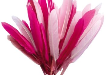 Je vais vous dire pourquoi je n’aimerai jamais Octobre rose