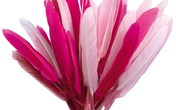 Je vais vous dire pourquoi je n’aimerai jamais Octobre rose