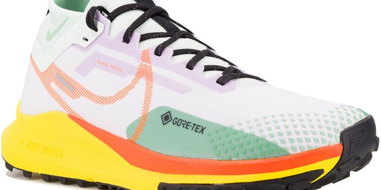Nike Pegasus Trail 4 Gore-Tex
