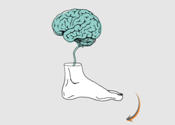 stabilite chaussure de trail