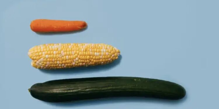 strava courir avec un gros penis