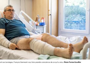 Jogging : deux rottweilers l’envoient à l’hôpital