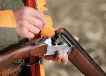 VRAI : un chien tue un chasseur (avec une arme) !