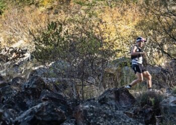 prix du Festival des Templiers