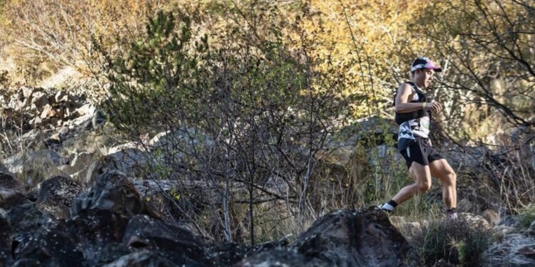 prix du Festival des Templiers