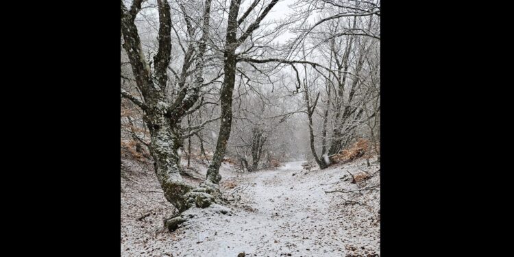 trail du ventoux