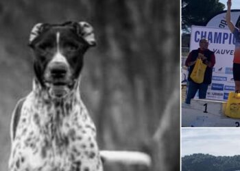 Championnats de France de canicross 2023