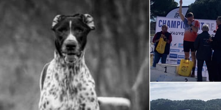 Championnats de France de canicross 2023