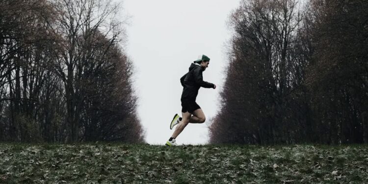 chaussure Salomon Ultra Glide 2