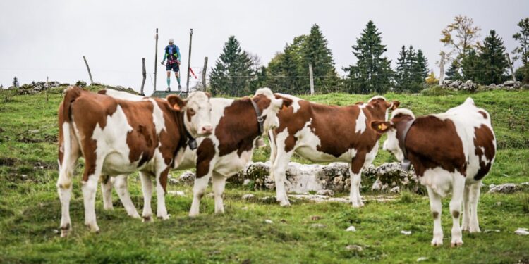 Favoris championnats de France de course en montagne
