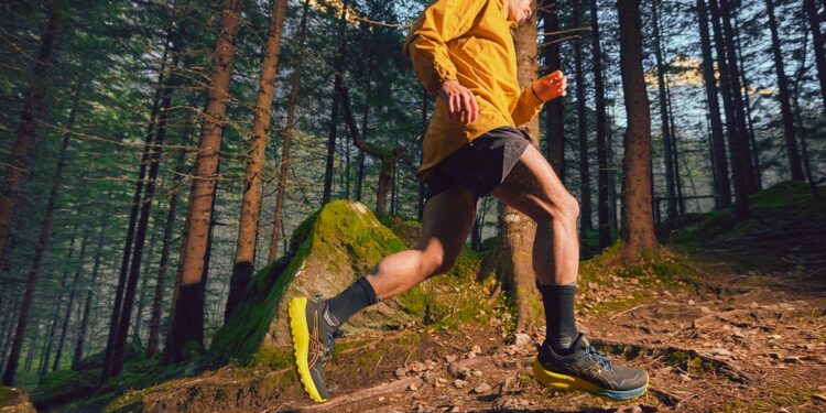 chaussure de trail Asics Gel-Trabuco 11