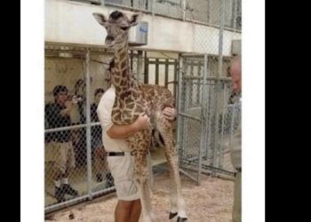 C’est FAUX : pour être bon en trail, il ne faut pas faire de route et pas de vitesse.