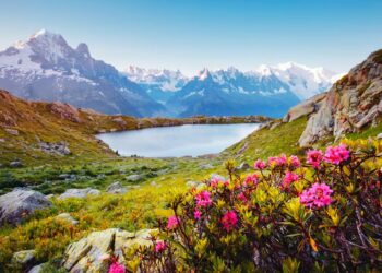 Eté 2024 : le gouvernement interdit les trails en montagne à cause des risques pour la faune