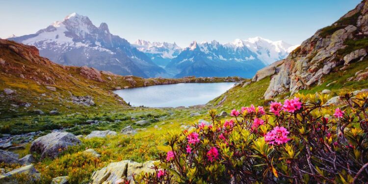 Eté 2024 : le gouvernement interdit les trails en montagne à cause des risques pour la faune