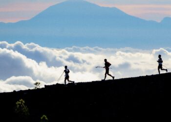 Agenda et calendrier trail pour les samedi 6, dimanche 7 et lundi 8 mai 2023.