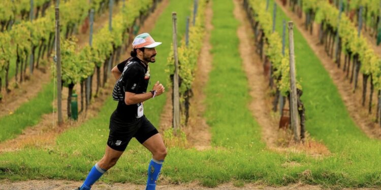 Trail Alsace Grand Est by UTMB en direct