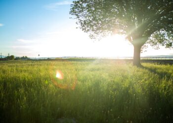 Trails de l’été 2023