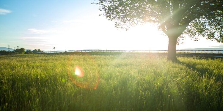 Trails de l’été 2023