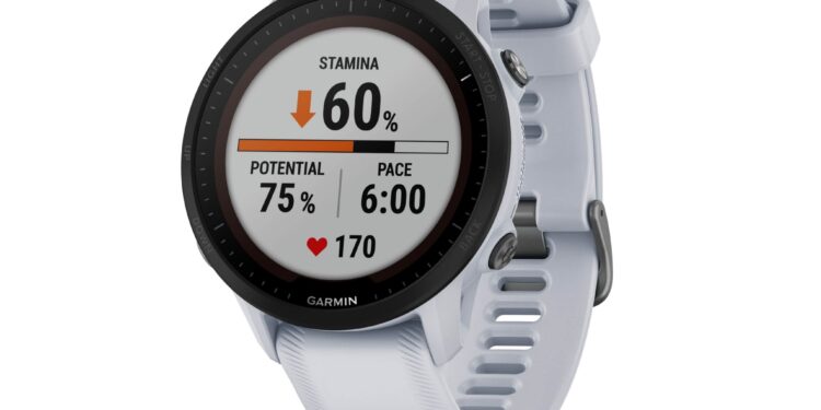 Garmin Forerunner 955 Solar