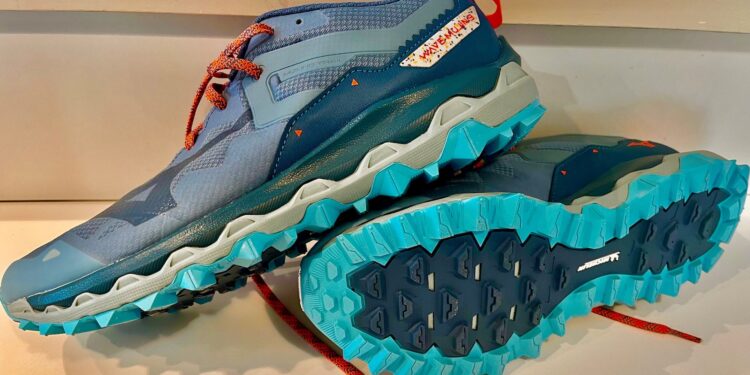 Mizuno Mujin