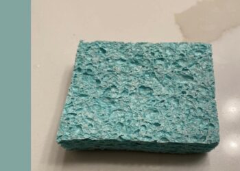 Une éponge est bien utile en trail en été