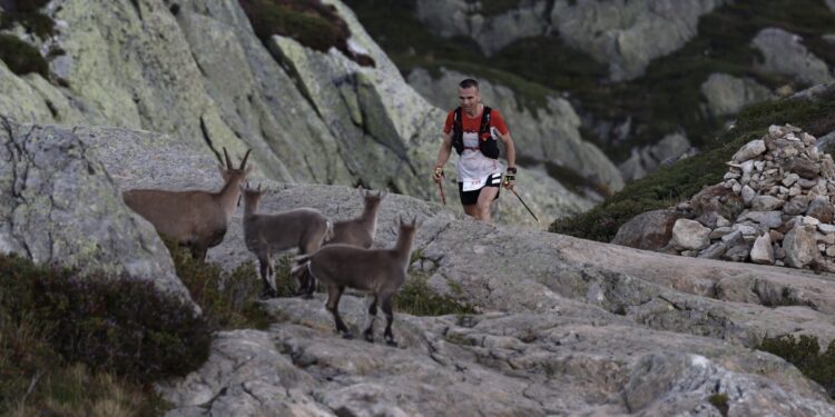 parcours UTMB