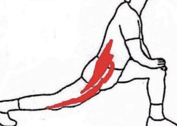 trail fléchisseurs de hanche