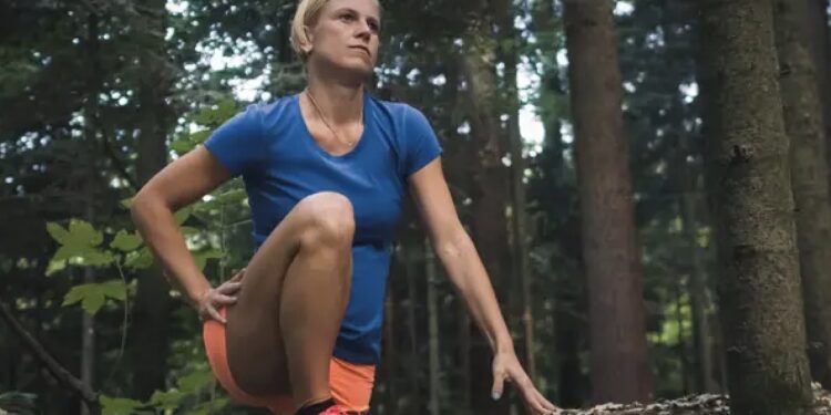 les fléchisseurs de hanche