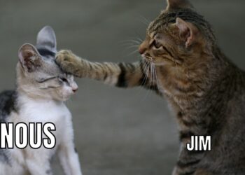 Jim Walmsley marathon