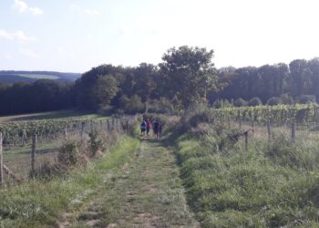 agenda trail octobre 2023