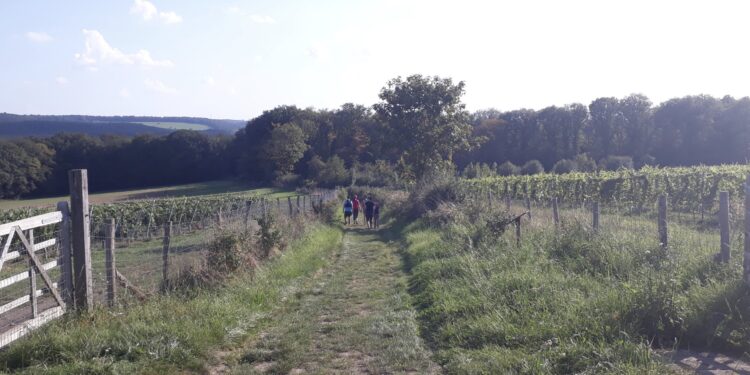 agenda trail octobre 2023