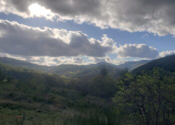 endurance fondamentale