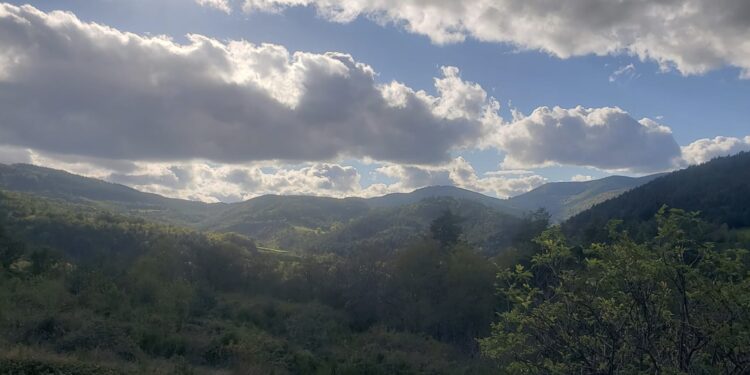 endurance fondamentale