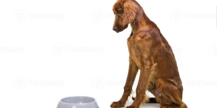 distance courir à jeun