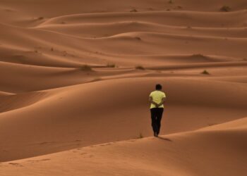 Désertours : est ce que le drame sanitaire aurait pu être évité?