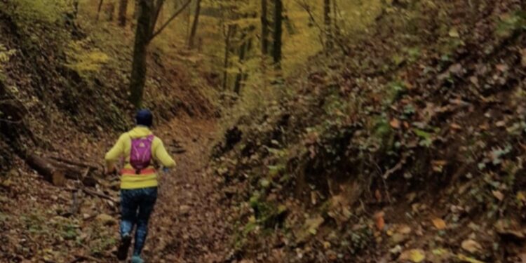 trail de Bellefontaine chasse