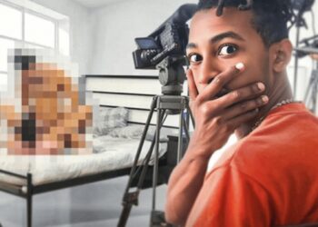 Les traileurs regardent principalement du X durant les heures de bureau