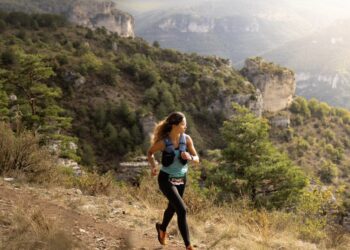 inscription Templiers