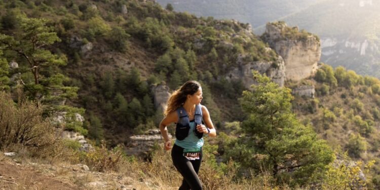 inscription Templiers