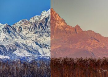 courir en été ou en hiver
