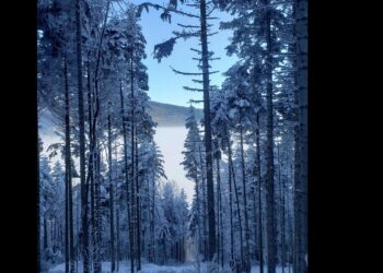 l'allure spécifique en trail