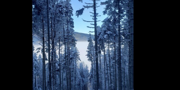 l'allure spécifique en trail