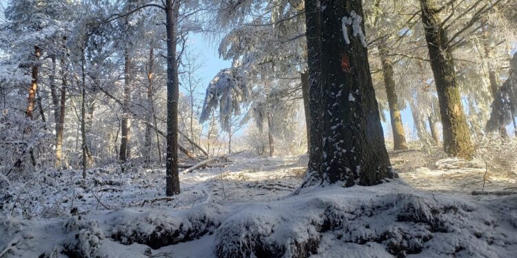 préparer ultra trail