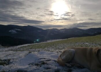 courir dans la boue neige fondue