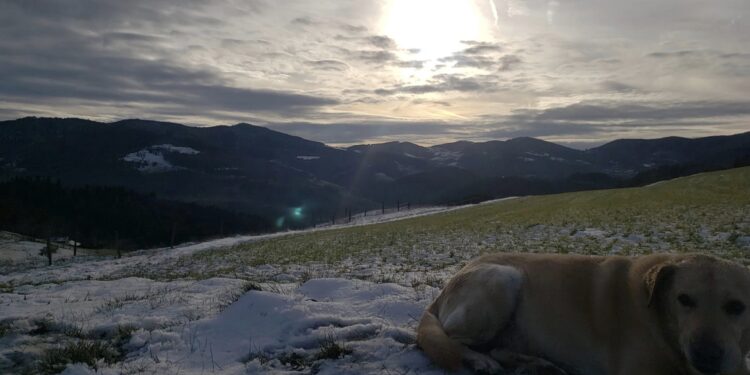 courir dans la boue neige fondue