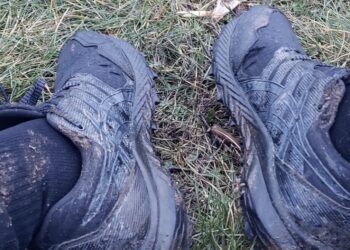 le mesh des chaussures de trail