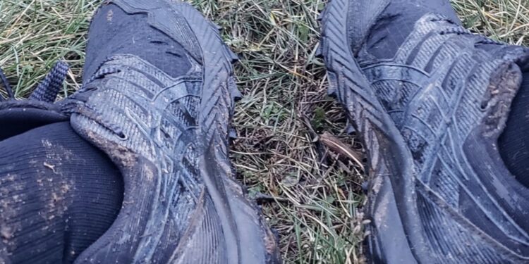 le mesh des chaussures de trail