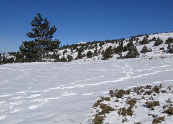 Favoris Trail du Ventoux 2024