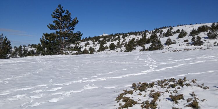 Favoris Trail du Ventoux 2024